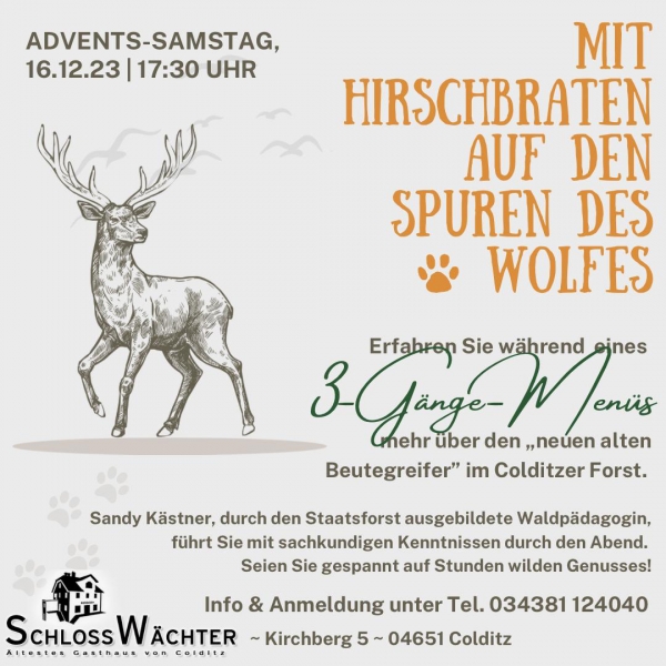 Auf den Spuren des Wolfes